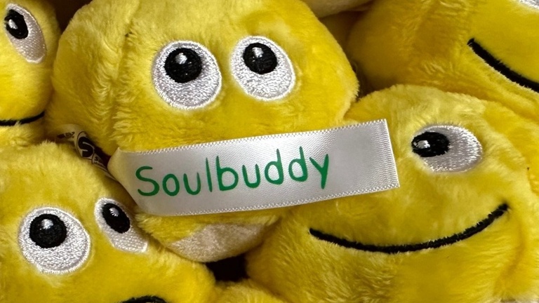 SoulStory Schreibwettbewerb und Wimmelbilderbuch